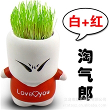 淘气郎迷你盆景地摊玩具阿里好货青草植物厂家批发