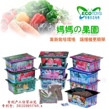 妈妈果园小花农创意产品开心农场地摊热卖罐装花卉批发