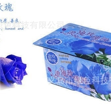 浪漫玫瑰园微型盆栽盆景迷你植物玫瑰情侣创意diy厂家批发