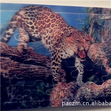 儿童益智3D木制拼图