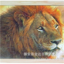 益智拼图木制玩具拼图