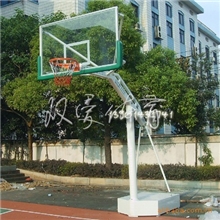 双爱体育供应球类用品/仿液压篮球架