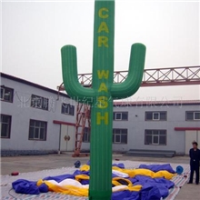 仙人掌舞星，气模，水上步行球，拱门，充气模型
