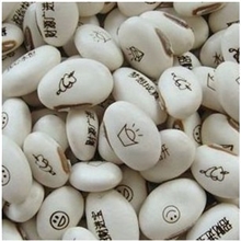 魔豆种子魔豆种植DIY爱情魔豆迷你植物创意植物