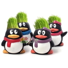 创意迷你盆栽防辐射植物/QQ企鹅青草种植/草头娃娃室内桌面首选