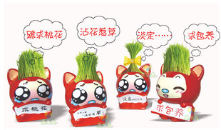 创意办公室内绿色迷你植物阿狸草头娃娃可爱防辐射小盆栽礼品