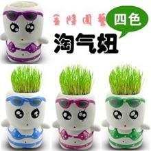 创意迷你植物淘气郎草娃娃DIY办公室迷你种植防辐射小草