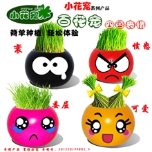 供应青草种植创意礼品酷炫表情草娃娃舒压盆栽陶瓷摆设品