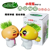 DIY种植小花宠-减压盆栽/桌面摆设品/办公室迷你盆栽/防辐射植物