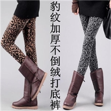 冬款欧美风加厚不倒绒豹纹保暖裤打底裤
