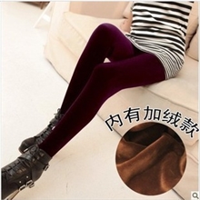 2012冬款韩国绒金丝绒加绒加厚保暖九分打底裤靴裤大码女裤批发