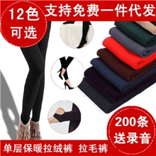 K400糖果色秋冬款单层加绒保暖拉绒裤拉毛裤女打底裤95g