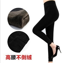K042韩国打底裤一体裤糖果色不倒绒保暖裤子九分裤打底裤批发