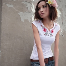 免费代发2012夏装新款民族风韩版百分百全棉绣花短袖T恤女批发