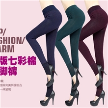 2013冬季女式单层七彩纯棉一体无缝加厚高腰打底裤保暖靴裤子批发