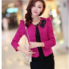 2013秋装新款韩版修身OL气质双排扣小西服短款大码小西装1183