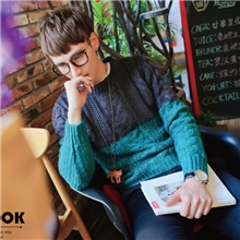 2013新款修身毛衣外套韩版长袖男式织衫毛衣批发加厚圆领