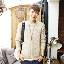 2013新款新品男式毛衣男装韩版毛衣实体批发加盟韩版男士外衣