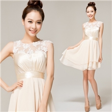 新款时尚蕾丝敬酒服伴娘小礼服姐妹团厂家批发年会礼服L12155