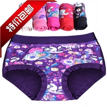 特价外贸女士女式内裤厂家三角裤女式内裤批发拿样565