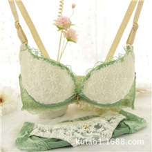3687网络爆款日韩时尚少女内衣套装蕾丝超性感女士文胸套装批发