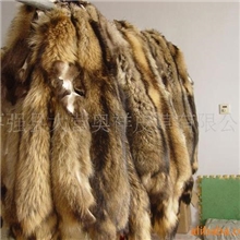 根据客户需求长期提供貉子皮。红狐皮、草狐皮