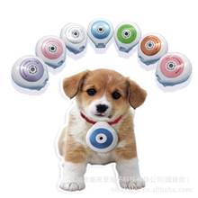 宠物相机工厂直营/宠物录相机/petdvcamera