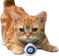 宠物相机批发厂家直营