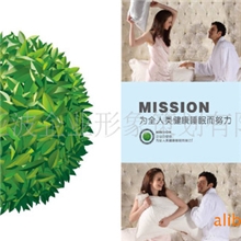 专业企业形象设计,画册设计，样本设计，承接各种商业摄影