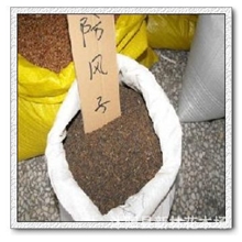 供应中药材种子中药草种子防风种子防风子种子铜芸回云回草