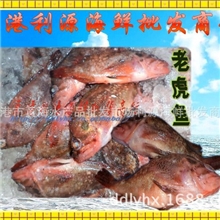 海鲜、水产品、冷冻粗加工、鱼批发-丹东海鲜优质小红鱼