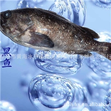 丹东产品-丹东利源海鲜批发商行长期出售优质黑头鱼