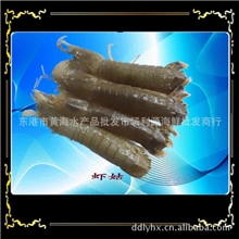 海产品、鲜活、冰鲜、水产品、皮皮虾（价位随市价变动！）
