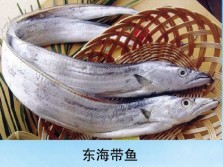 福寿齐全海鲜大礼包批发&mdash;&mdash;上海晨升食品
