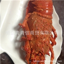 直销酒店特色食材龙虾【图】