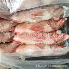 供应美国红鱼、海鲜鱼类、海鲜批发、冰鲜鱼类批发