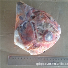 供应进口海鲜|进口水产|冰冻海鲜水产|冻海鲜