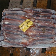 供应各种鱼类、鱼肉/大量批发金海岸水产批发