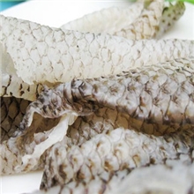 山东青岛金海岸供应粗加工水产品优质深海鱼皮