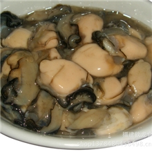 霞浦海鲜鲜活美味牡蛎供应各类贝类海鲜全国各地的海鲜市场