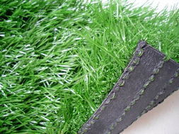 承接人造草坪.单丝.网丝草坪景观草TEL13218191808