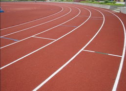塑胶跑道.EPDM.复合型塑胶跑道