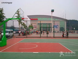 上海森翔塑胶跑道篮球场