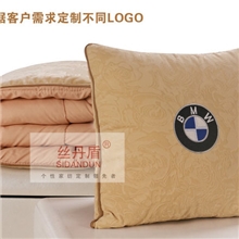 厂家定制商务促销福利高品质抱枕被靠垫被
