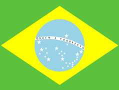 巴西商务签证/巴西签证