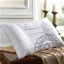 全棉星级酒店保暖枕芯产品厂家批发定做