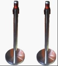 BGRPM9020行人通道辐射监测系统