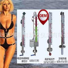 【优质直销】磁耦合液位计，L=4600