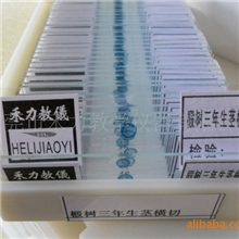 植物学教学切片