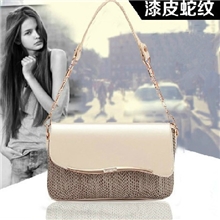 女包2013新款潮糖果色漆皮链条蛇纹时尚女包一件代发厂家直批